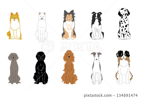 Dog hand-drawn illustration medium-sized dog set 134891474