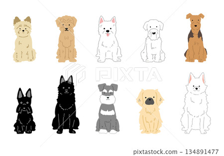 Dog hand-drawn illustration small dog set 134891477