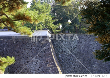 皇宮外花園的石牆 134891665