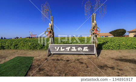 與強姦領域的風景 與強姦領域的風景 134891917