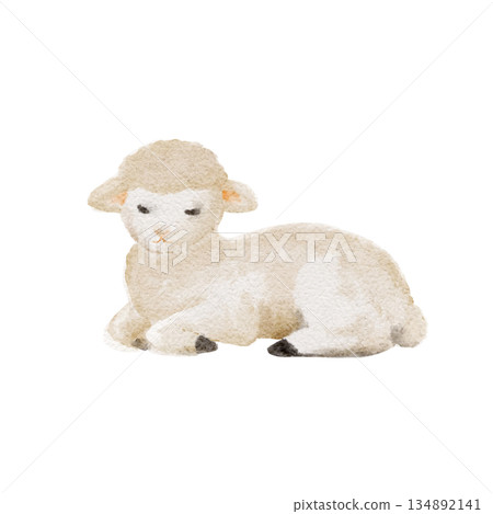 Lamb resting in a calm pose, soft watercolor painted in gentle neutral tones, ideal for nursery decor, childrens books, farm-themed designs, educational materials, and peaceful pastoral illustrations. 134892141