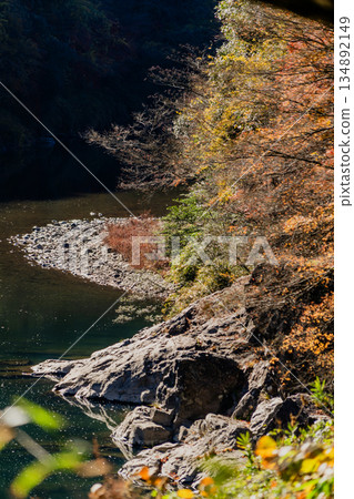 愛吉隧道秋季特別開放 134892149