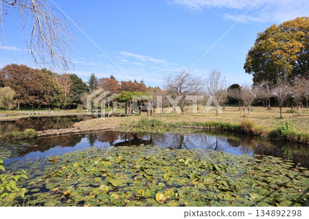 古河庫佈公園 古河綜合公園風景 古河庫佈公園 古河綜合公園風景 134892298