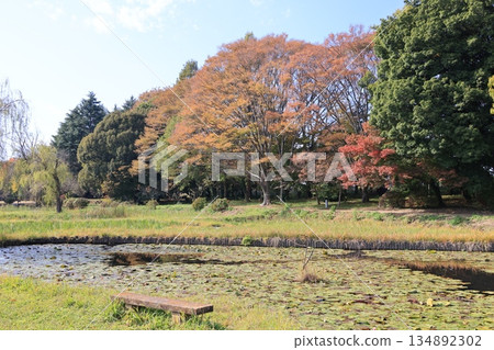 古河庫佈公園 古河綜合公園風景 古河庫佈公園 古河綜合公園風景 134892302