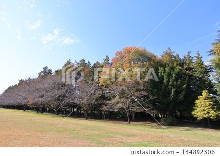 Koga Kufu Park Scenery of Koga General Park Koga Kufu Park Scenery of Koga General Park 134892306