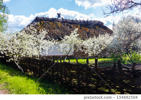 Ancient traditional ukrainian rural house in Open air Museum of Folk Architecture and Folkways of Middle Naddnipryanschina in Pereyaslav, Ukraine Ancient traditional ukrainian rural house in Open air Museum of Folk Architecture and Folkways of Middle Naddnipryanschina in Pereyaslav, Ukraine 134892504