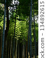 石清水竹林 134892615