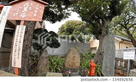 Tokyo, Meguro Fudoson, Ryusenji Temple 134892656