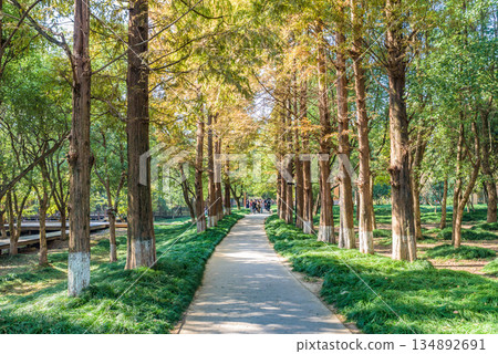 世界遺產「良渚古城遺址」中國浙江省 134892691