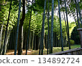 石清水竹林 134892724