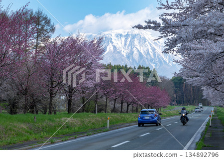 岩手縣 / 風景駕車路線:春季岩手山和小岩井農場(小岩井牧場)櫻花街(櫻花街) 岩手縣 / 風景駕車路線:春季岩手山和小岩井農場(小岩井牧場)櫻花街(櫻花街) 134892796