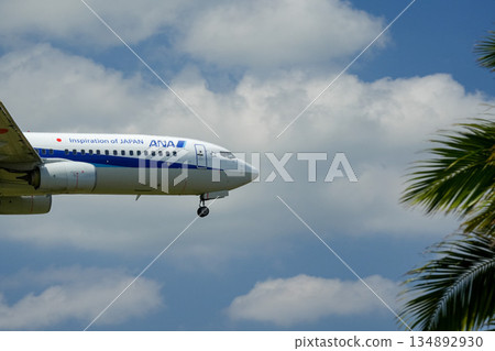 An ANA plane preparing to land 134892930