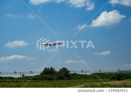 JAL plane (special livery) landing at Ishigaki Airport 134892931