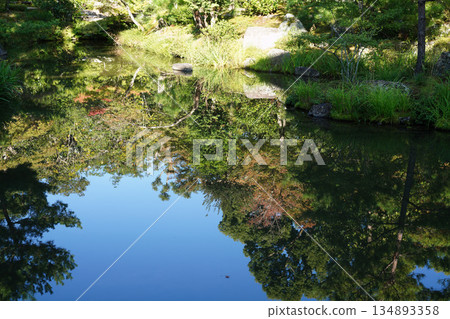 Landscape reflected in the pond at Toji-in Temple in Kyoto 134893358