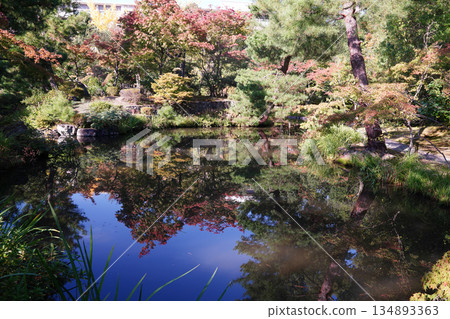 Landscape reflected in the pond at Toji-in Temple in Kyoto Landscape reflected in the pond at Toji-in Temple in Kyoto 134893363
