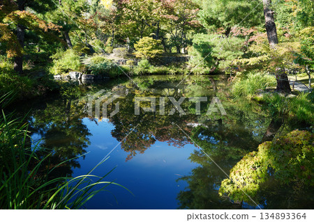 Landscape reflected in the pond at Toji-in Temple in Kyoto 134893364