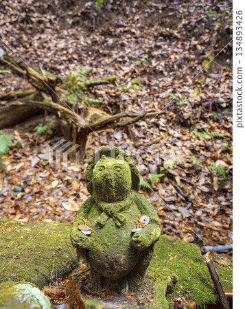 一座長滿青苔的迷人浣熊雕像 一座長滿青苔的迷人浣熊雕像 134893426