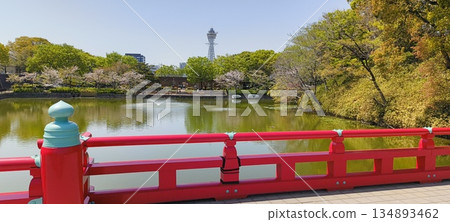 從茶須山河床池塘上的威克橋望見通天閣 從茶須山河床池塘上的威克橋望見通天閣 134893462