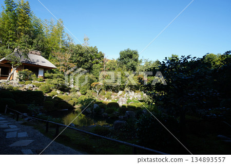 東寺庭院內的茶室 東寺庭院內的茶室 134893557
