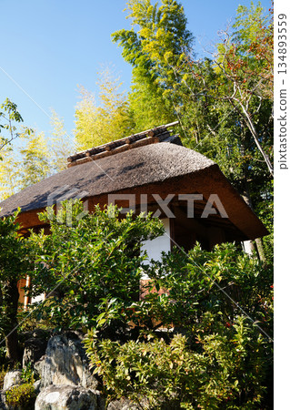 Tea house in the garden of Toji-in Temple Tea house in the garden of Toji-in Temple 134893559