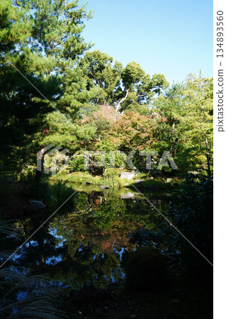 京都東寺池塘中倒映的景色 134893560