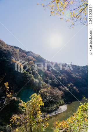 Aigi Tunnels Autumn Special Opening Aigi Tunnels Autumn Special Opening 134893854