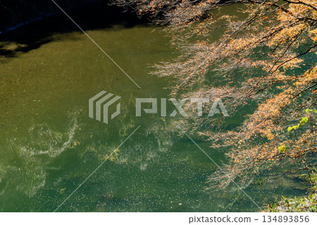 愛吉隧道秋季特別開放 134893856