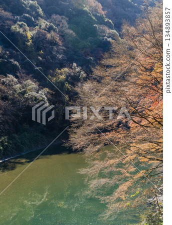 愛吉隧道秋季特別開放 愛吉隧道秋季特別開放 134893857