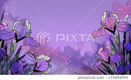 淡紫色背景上的鳶尾花 淡紫色背景上的鳶尾花 134894044