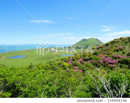 初夏的惠伯希山、草千里濱海灘和岸島山(熊本縣阿蘇市) 初夏的惠伯希山、草千里濱海灘和岸島山(熊本縣阿蘇市) 134894146