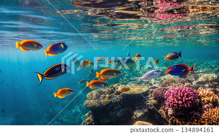 Beautiful swimming tropical fish Pristella, Blue Tetra 134894161