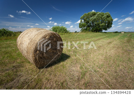 A round bale of hay in a meadow with a tree A round bale of hay in a meadow with a tree 134894428