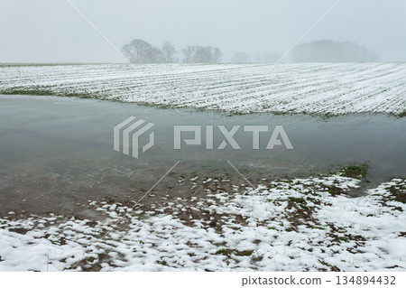 Melting snow water on a rural field and a hazy sky Melting snow water on a rural field and a hazy sky 134894432