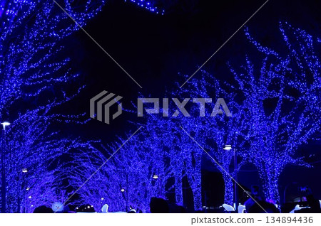 Blue illuminations at the Blue Cave in Shibuya, Tokyo 134894436