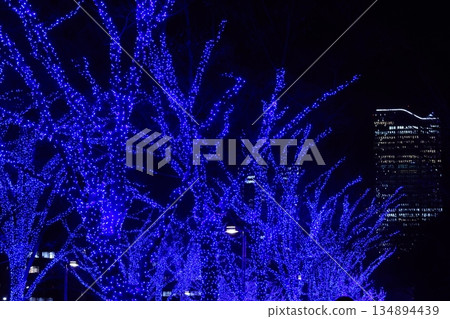東京澀谷藍洞的藍色燈光 134894439