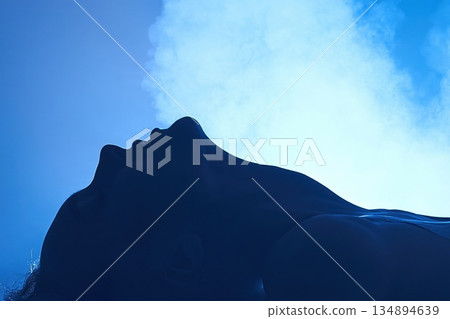 Sensual silhouette of a woman's profile against blue light and atmospheric smoke. Sensual silhouette of a woman's profile against blue light and atmospheric smoke. 134894639