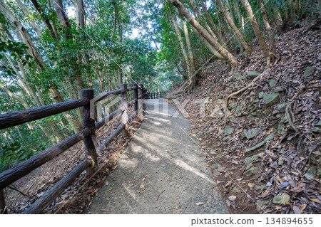 宇馬瀨長廊（日向市）的景色 134894655