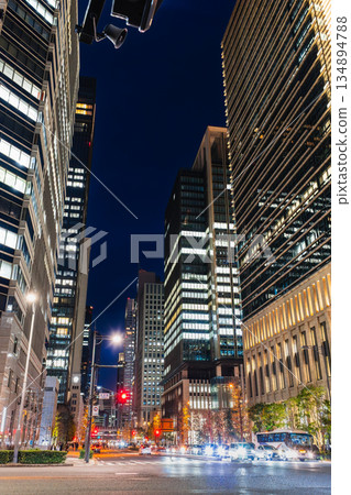 東京大手町，年末 134894788