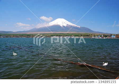 [Mountain scenery] Mt. Fuji (Lake Yamanaka) 134895155