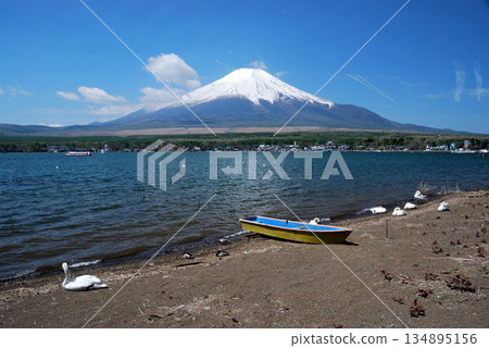 [Mountain scenery] Mt. Fuji (Lake Yamanaka) 134895156