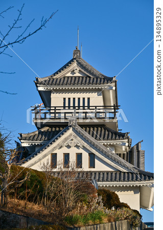 Ushibozan天文台 134895329