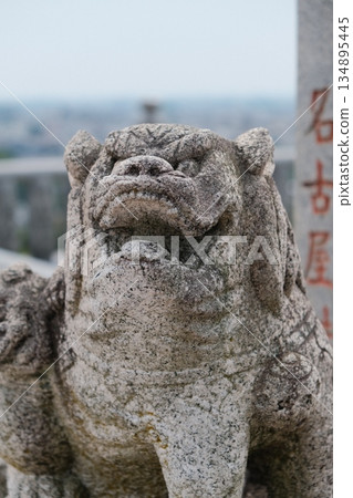Ancient Stone Lion Head Detailed Carving 134895445