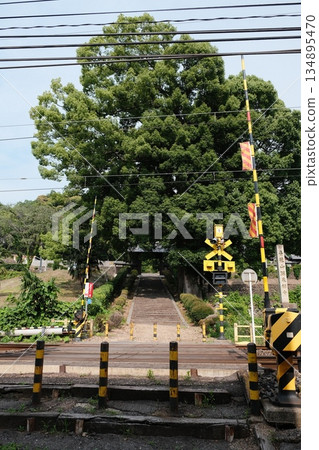Rural Railroad Crossing With Dense Foliage 134895470