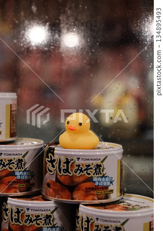 Cute Rubber Duck Among Ramen Noodle Stacks 134895493