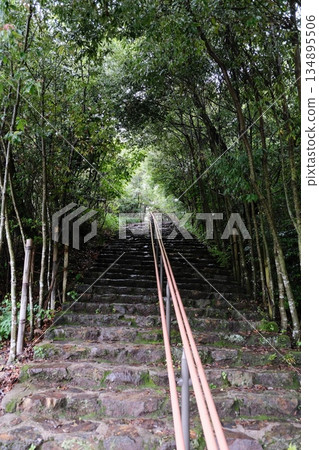 Ancient Stone Tunnel With Green Canopy 134895506