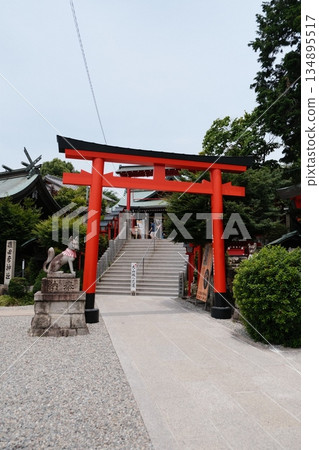 Torii Gate Pathway To Sacred Shrine Torii Gate Pathway To Sacred Shrine 134895517
