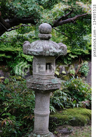 Ancient Stone Lantern Detail Moss Garden 134895518