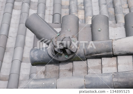 Antique Gargoyle Waterspout Stone Architectural Detail 134895525