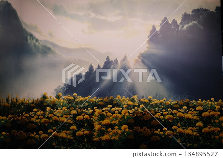 Golden Meadow Sunlight Mountain Landscape View Golden Meadow Sunlight Mountain Landscape View 134895527