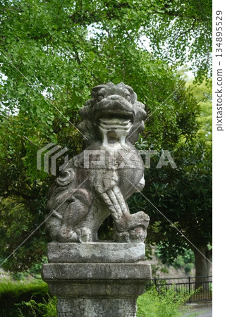 Ancient Stone Lion Garden Statue Detail 134895529